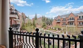 415 E Dean St Unit 24 Week 7, Aspen, CO 81611