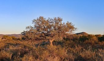 1086 Juniper, Alpine, TX 79830