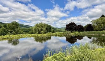 240 Dowie Rd, Andes, NY 13731