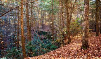 54 E Ridge Rd, Allardt, TN 38504