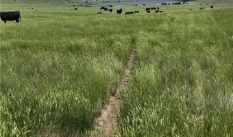 480 Spring Creek Rd, Baker, MT 59336