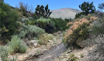 155 Oak Trail Cir, Cold Creek, NV 89124