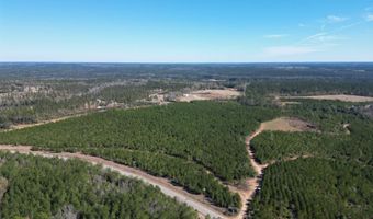 Lot 4 Robinsonville Road, Atmore, AL 36502