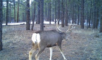 20861 Hwy 160, Bayfield, CO 81122