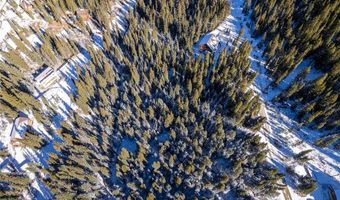 387 COUNTY ROAD 674, Breckenridge, CO 80424