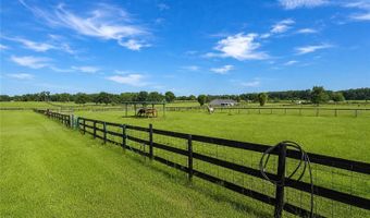 12345 NE 14TH Ave, Anthony, FL 32617