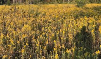 2254 E M30, Alger, MI 48610