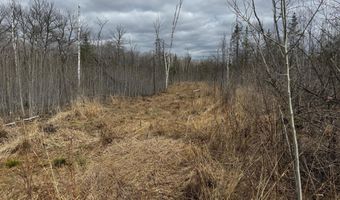 TBD40 Township Road 5743, Alborn, MN 55702