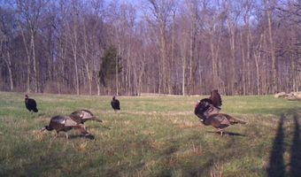 767 County Road 500, Ashland, OH 44805
