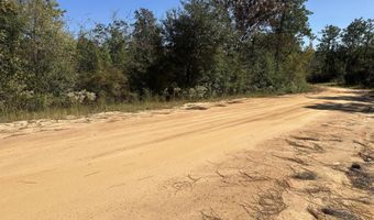 Alene Drive, Alford, FL 32420