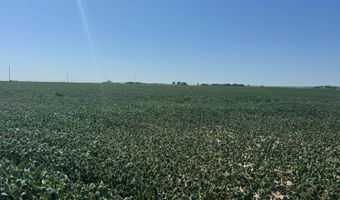 W 11th Rd, Aurora, NE 68818