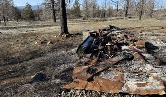 31763 Godowa Springs Rd, Beatty, OR 97621