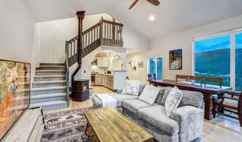 1095 Quartzville Rd, Alma, CO 80440