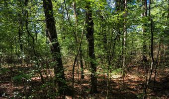 19 Th Pass Lot 132, Arkdale, WI 54613