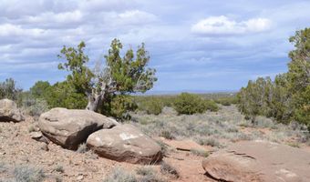 32 N8544 398, Concho, AZ 85924