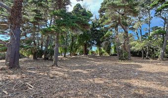 SW Edison Ave, Bandon, OR 97411