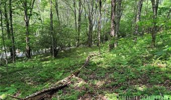 Chestnut Mountain Road, Banner Elk, NC 28604