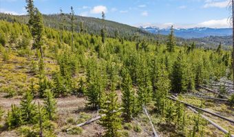 676 Ore Loop, Anaconda, MT 59711