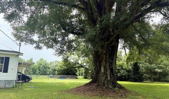 24132 Babbie Rd, Andalusia, AL 36421