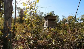 Off Hwy F, Annapolis, MO 63620