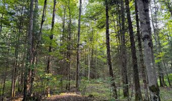 County Road Y, Aniwa, WI 54408