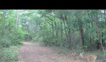 4814 NW 244 Ave, Alachua, FL 32615