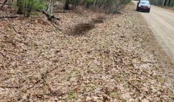 N Forest Lake Drive, Alger, MI 48610