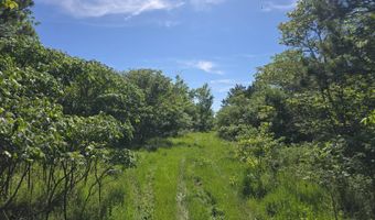 TRACT 40 TRAIL RIDGE ROAD, Albion, OK 74571