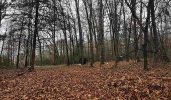 67 Old Wire Rd, Atkins, AR 72823