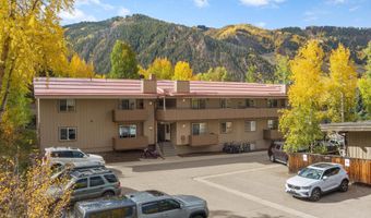 326 Midland Ave 306, Aspen, CO 81611
