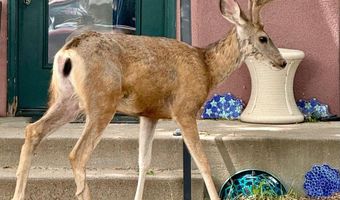 925 36th St, Boulder, CO 80303