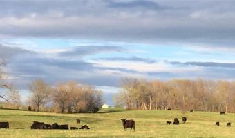 SE 95th Road, Agency, MO 64401