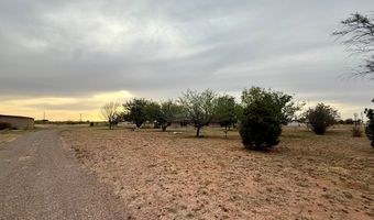 400 SE County Rd 2751, Andrews, TX 79714