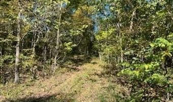 County Road 118, Annapolis, MO 63620