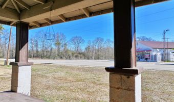 16446 Walker Springs Rd, Gainestown, AL 36540