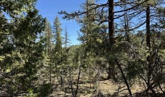 Horned Owl Lane, Bonanza, OR 97623