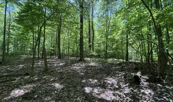 V/L 43.5A 104th Avenue, Allegan, MI 49010