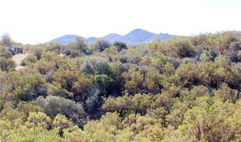59401 Trails End Ln, Anza, CA 92539