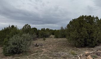 55 ACR 8050 14, Concho, AZ 85924