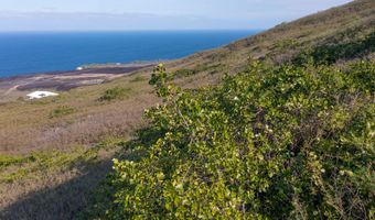 GUAVA RD, Captain Cook, HI 96704