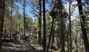 El Vado Way lot 1662, Angel Fire, NM 87710