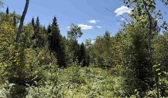F2 Cave Mountain Road, Bartlett, NH 03812