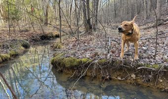 MOUNTAIN CUT RD lot D, Appomattox, VA 24522