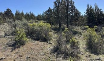 Bluebill Lane, Bonanza, OR 97623
