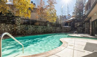 26 Avondale 211, Beaver Creek, CO 81620