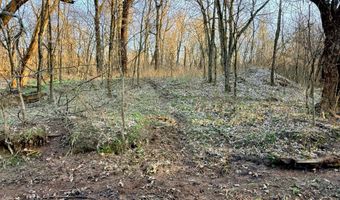 0002 CR-290, Asbury, MO 64832