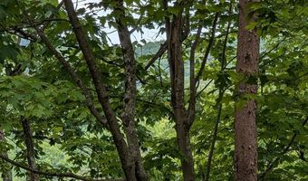 2840 Highway 61 W, Andersonville, TN 37705