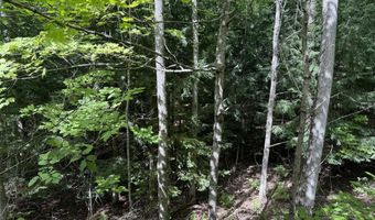 26 Woodland Dr, Spruce, MI 48762