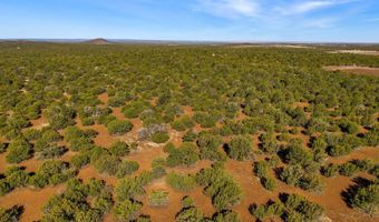 20 CR N8623, Concho, AZ 85924