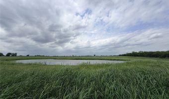 192 Fm 1183, Alba, TX 75119